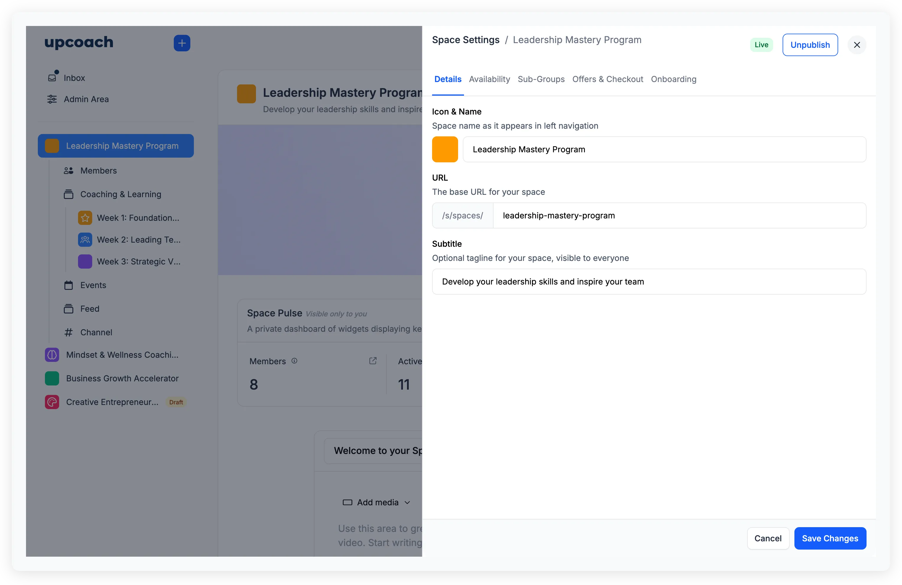 Space Settings panel showing the Details tab with Icon & Name, URL, and Subtitle fields