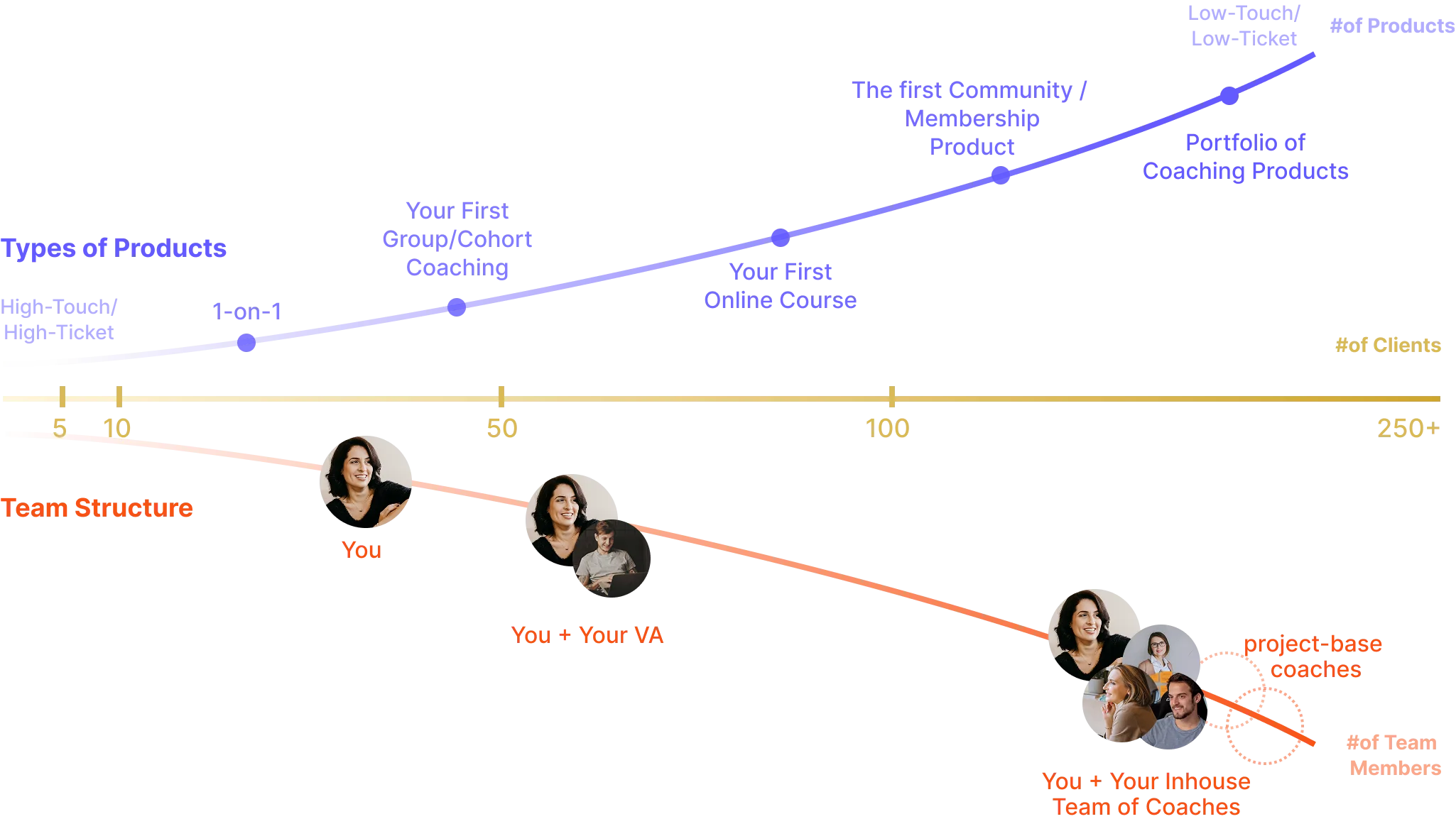 All types of coaching illustration
